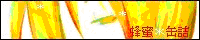 �I���ʋl